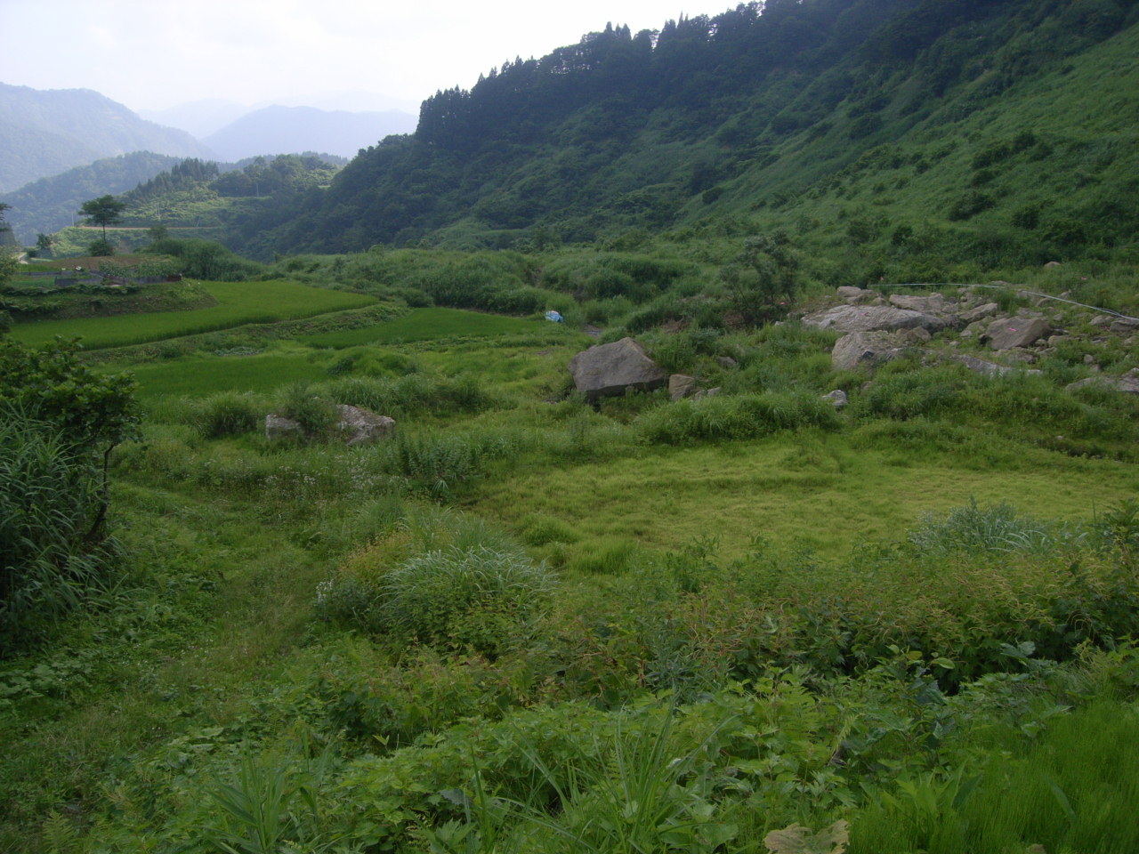 土倉地区田災害復旧工事