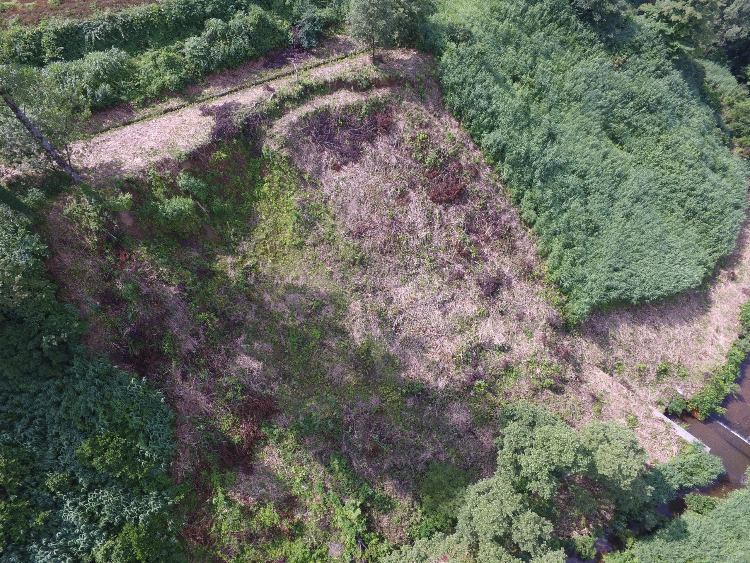 倉下地区予防治山工事