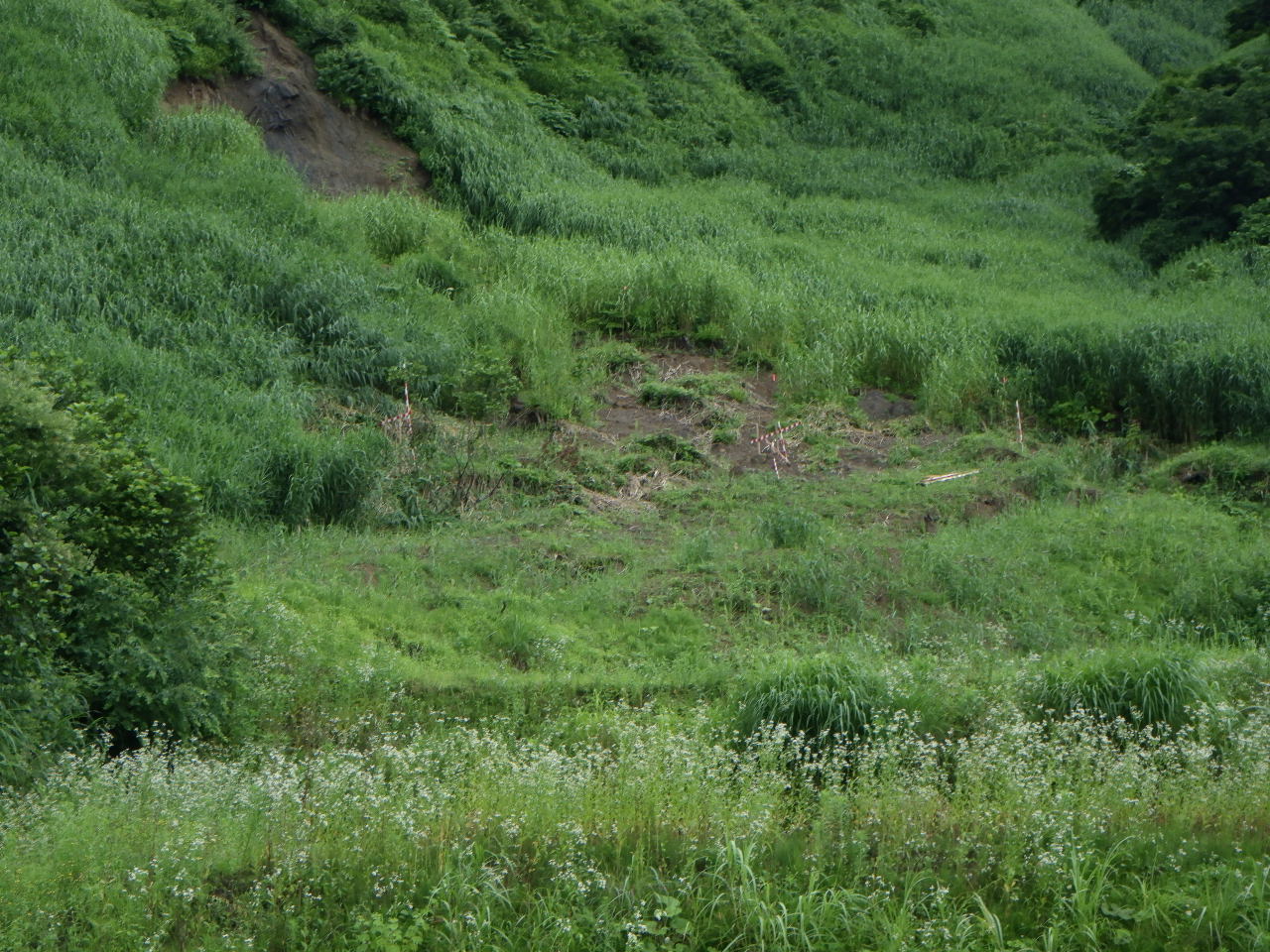 土倉地区予防治山工事