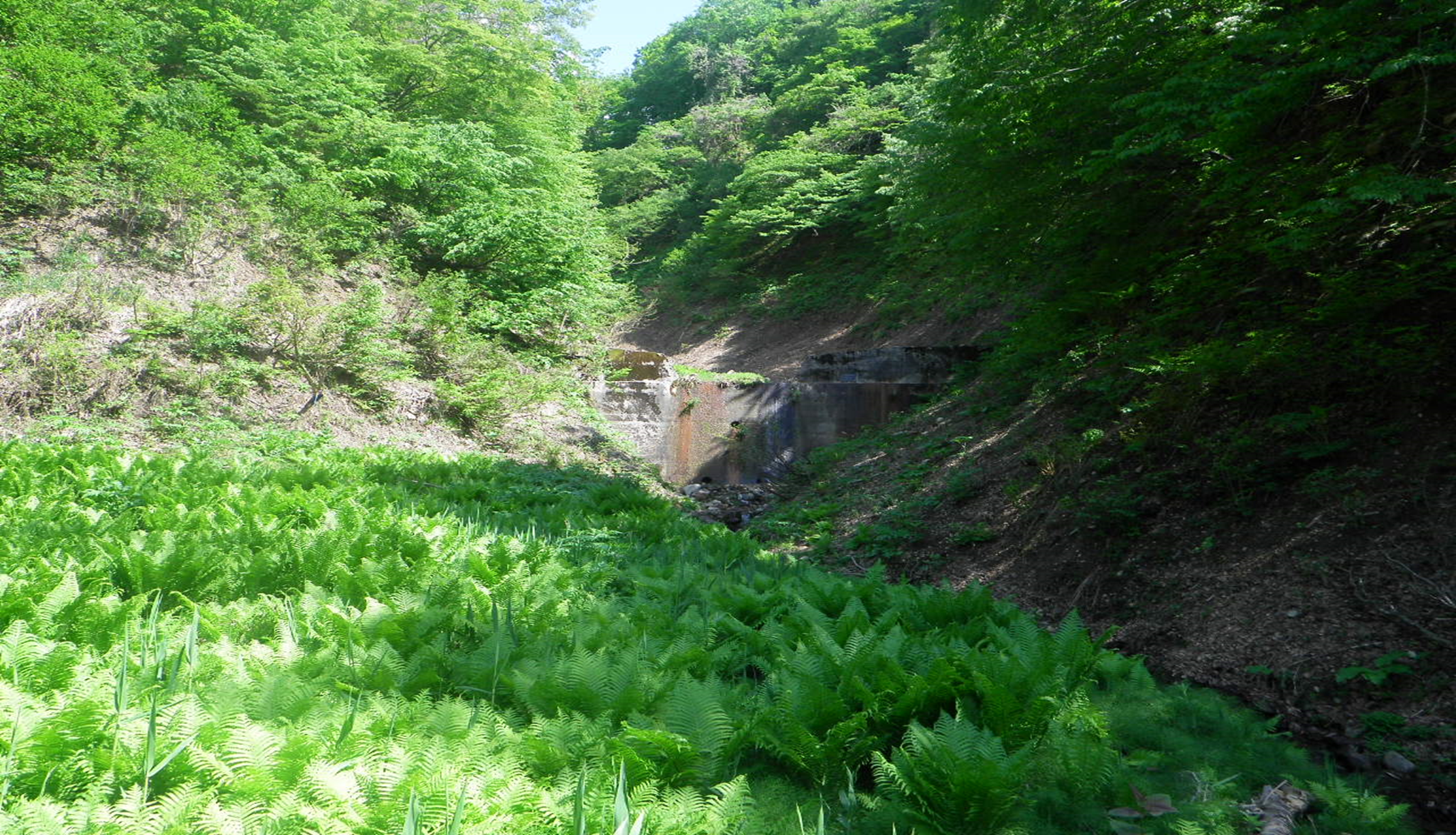 復旧治山工事　田代地区