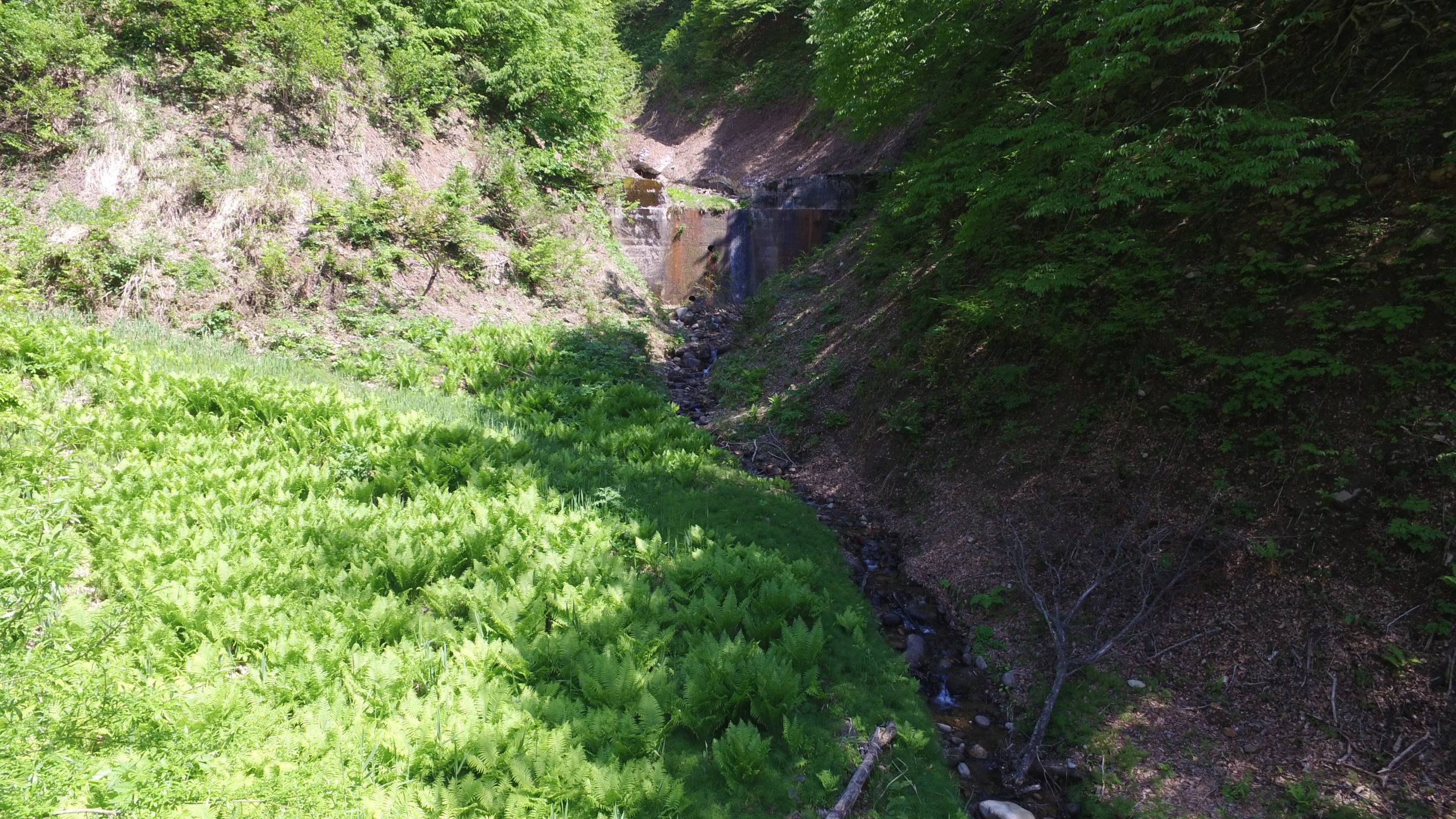 田代地区復旧治山工事２